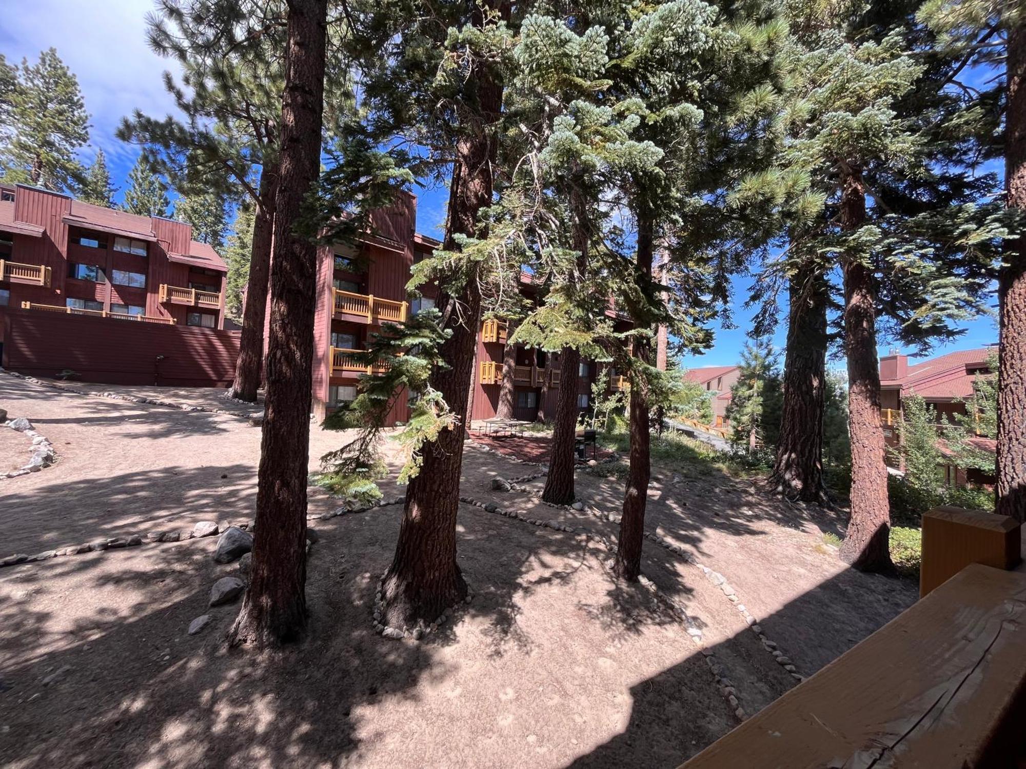 Tastefully Remodeled Condo At Mammoth Ski & Racquet Club, Hot Tub, Garage, 10 Min Walk To Ski Lifts Mammoth Lakes Exterior photo
